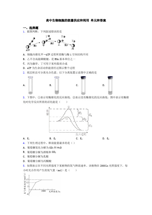 高中生物细胞的能量供应和利用 单元和答案