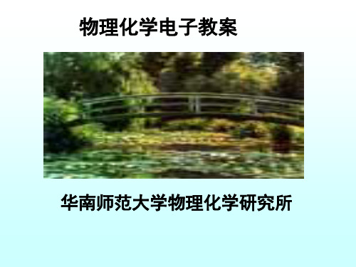 04 多组分系统热力学-2(3学时2010材料)