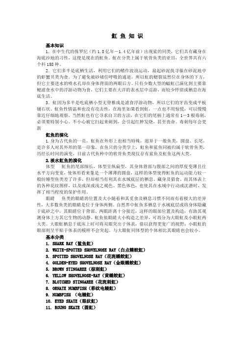 魟鱼的饲养详细记录