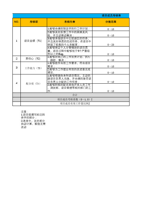 项目成员评估表