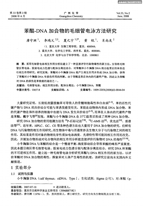 苯醌-DNA加合物的毛细管电泳方法研究