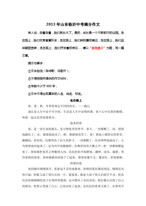 2013年山东临沂中考优秀作文《走在路上》