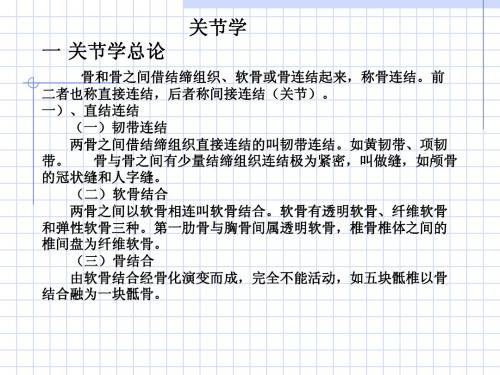 关节学