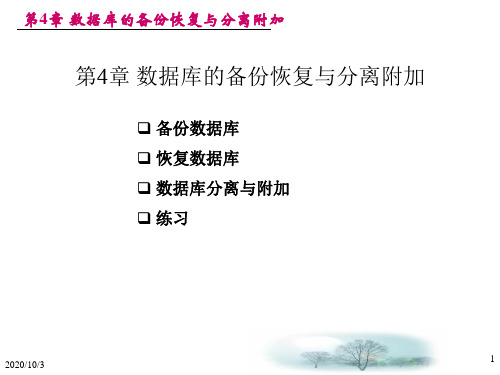 第4章 数据库的备份恢复与分离附加 SQL ppt 教学课件