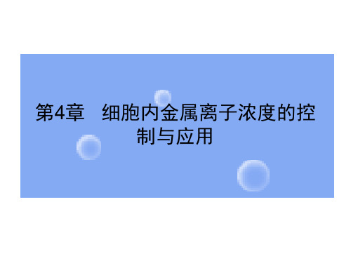 4细胞对金属离子浓度的调控