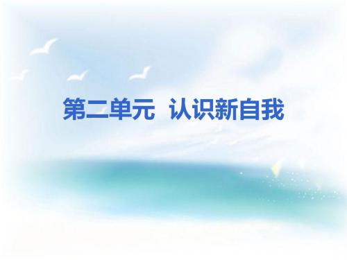 九年级思品第一轮复习第二课时