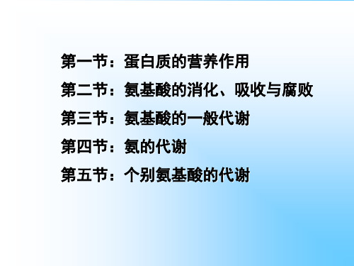 各别氨基酸的代谢