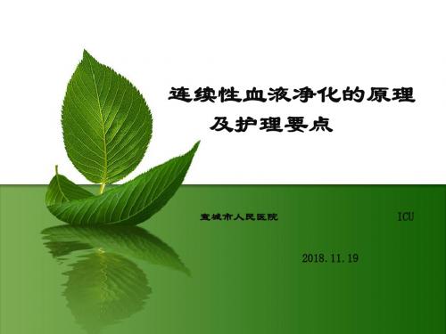连续性血液净化的应用 -z123123