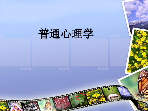 普通心理学4,感觉 PPT课件