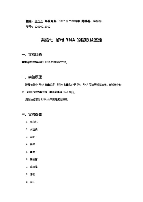 实验七酵母RNA的提取及鉴定