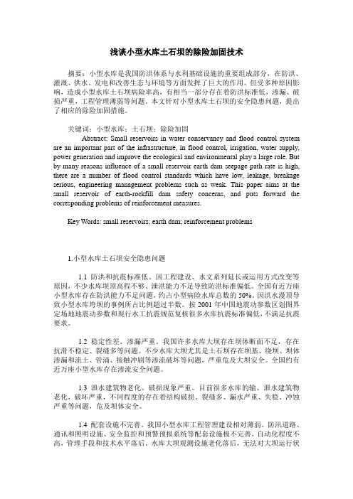 浅谈小型水库土石坝的除险加固技术