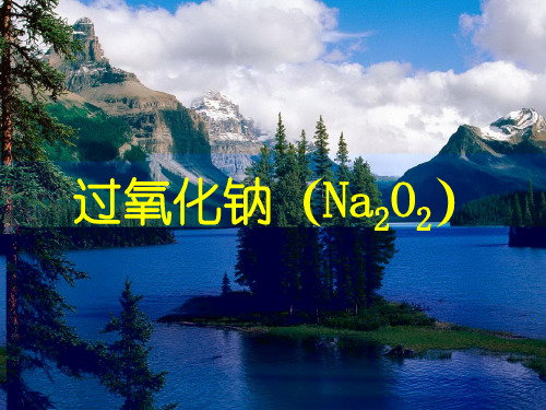 课件_人教版化学必修一《几种重要的化合物过氧化钠》讲课PPT课件_优秀版