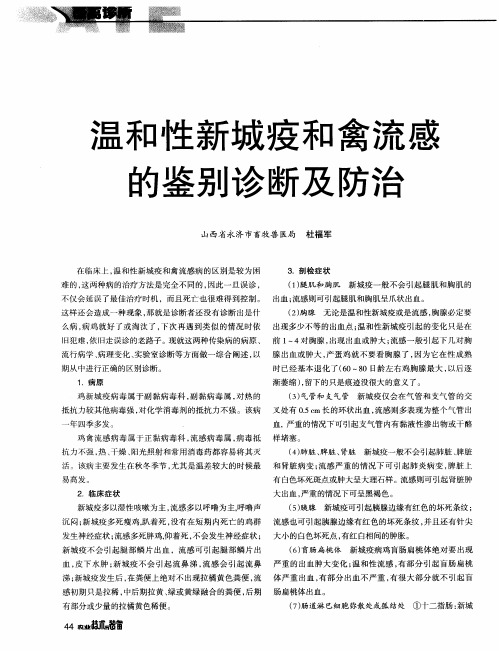 温和性新城疫和禽流感的鉴别诊断及防治