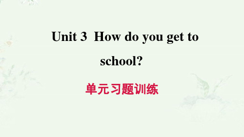 人教版七年级下册英语 Unit 3 单元复习习题重点练习课件