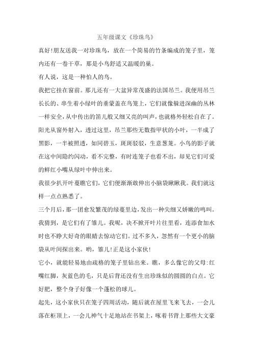 五年级课文《珍珠鸟》