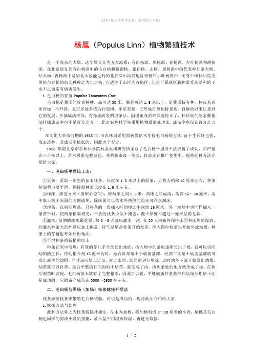 杨属植物繁殖技术