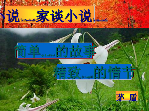 九年级语文上册 第四单元 14 小说家谈小说 简单的故事 精致的情节小说课件 
