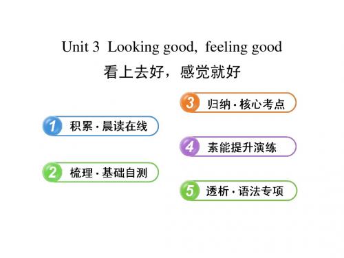 2013版高中英语全程复习方略 课件：必修1 Unit 3 Looking good,feeling good(译林牛津版)