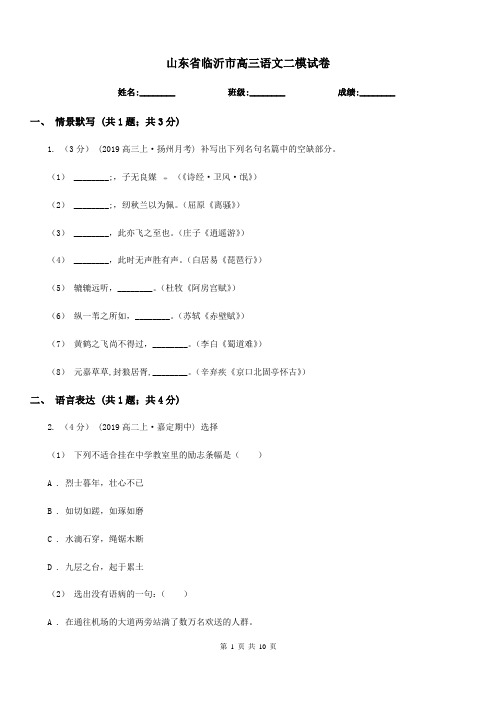 山东省临沂市高三语文二模试卷