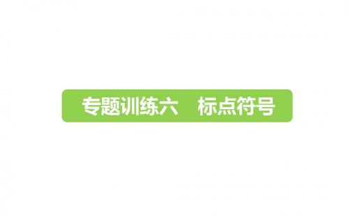 六年级下册语文课件-小升初-专题训练六 标点符号｜全国通用 (共11张PPT).ppt