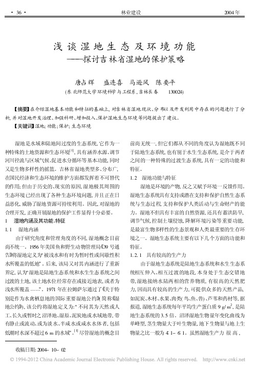浅谈湿地生态及环境功能_探讨吉林省湿地的保护策略