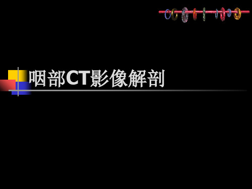 鼻咽部的CT解剖完整版本