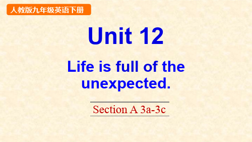 Unit 12 Life is full of the unexpected Section A 3a-3c课件