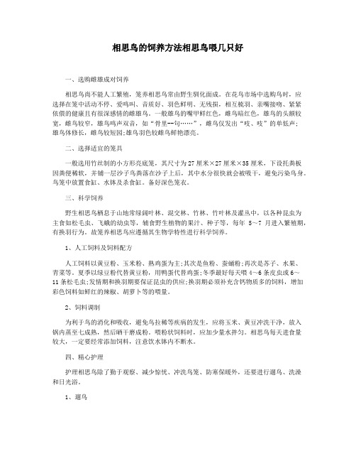 相思鸟的饲养方法相思鸟喂几只好