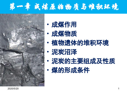 1成煤原始物质与堆积环境详解