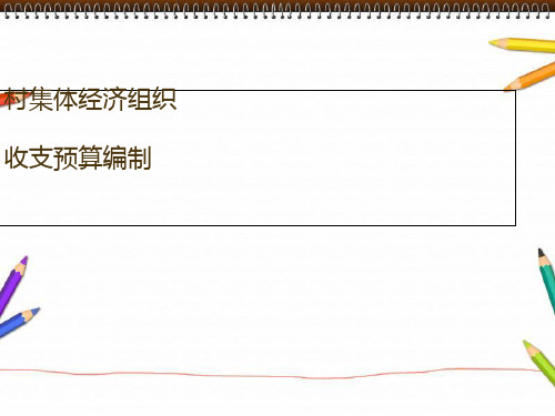 村集体经济组织收支预算编制 (PPT 38张)