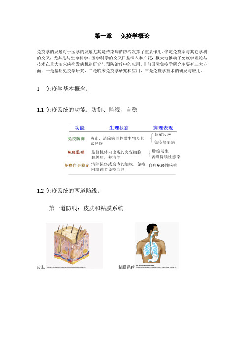 分子免疫学课程+讲义+第一章