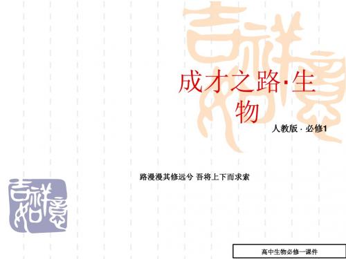 降低化学反应活化能的酶课件2(高一生物)