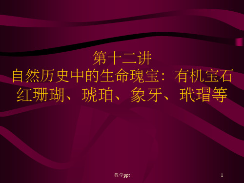 自然历史中的生命瑰宝有机宝石红珊瑚、琥珀、象牙、玳瑁等