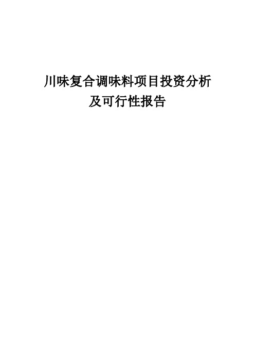 2024年川味复合调味料项目投资分析及可行性报告