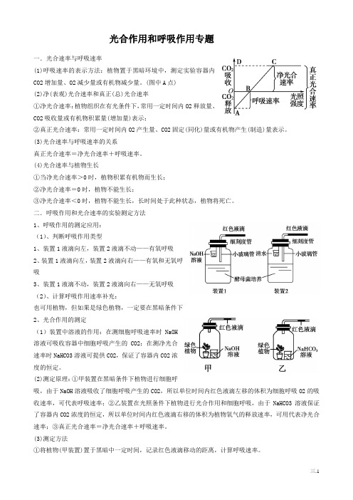 光合作用和呼吸作用专题