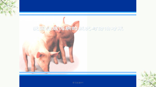 猪病毒性腹泻ppt课件