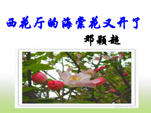 部编人教版九年级语文上册教学课件PPT 03.西花厅的海棠花又开了