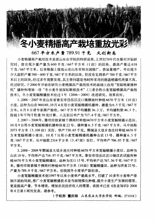 冬小麦精播高产栽培重放光彩