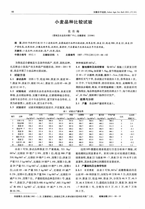 小麦品种比较试验