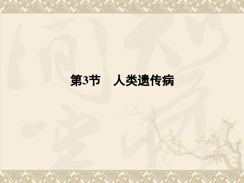 高考生物总复习 2-5-3人类遗传病配套课件 新人教版必修2