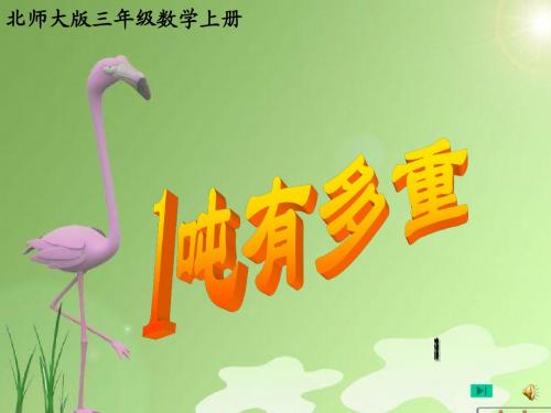 《一吨有多重》1
