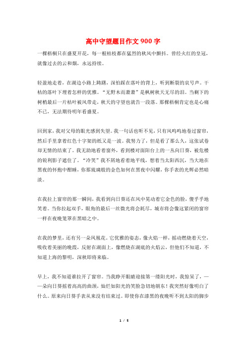 高中守望题目作文900字