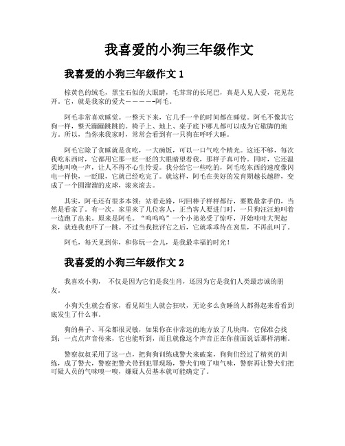 我喜爱的小狗三年级作文