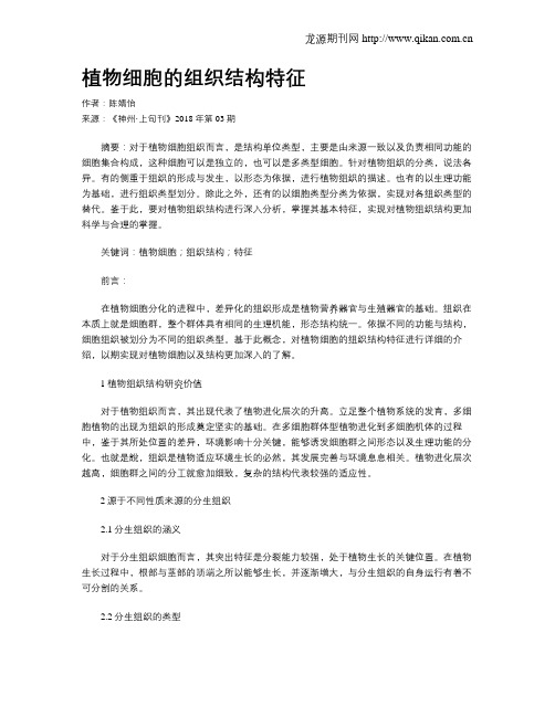 植物细胞的组织结构特征