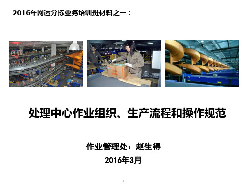 分拣作业培训课件讲解