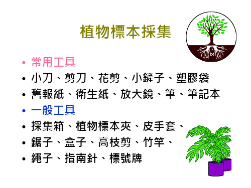 植物标本采集.