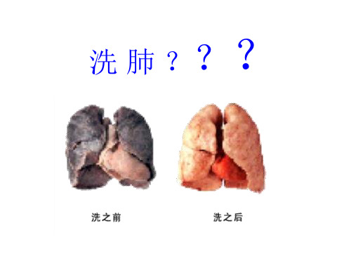 洗 肺
