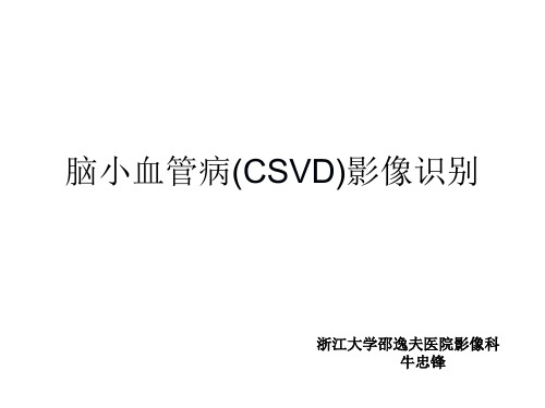 脑小血管病影像
