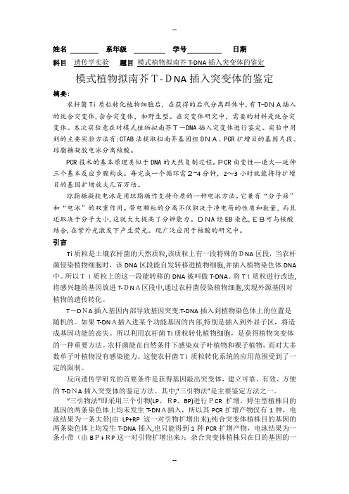 模式植物拟南芥T-DNA插入突变体的鉴定