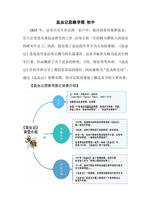 昆虫记思维导图 初中